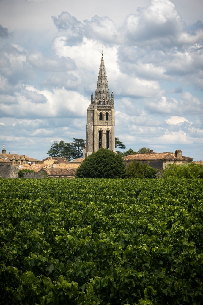 Randonnées dans les vignes de Saint-Emilion, patrimoine mondial de l'UNESCO