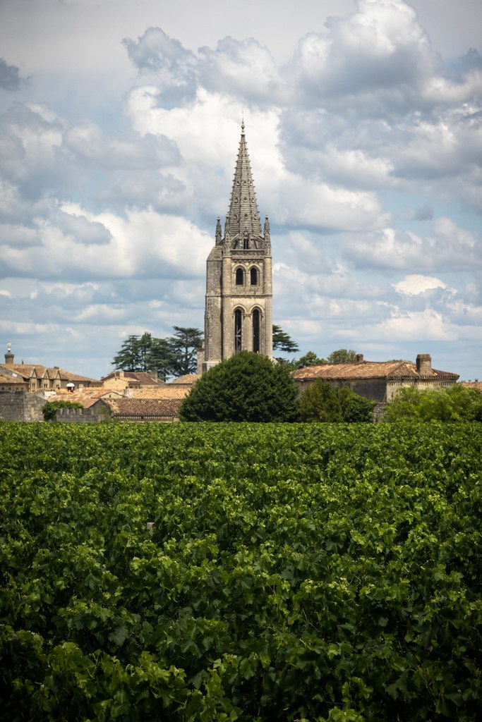 rando-saint-emilion-vignes Randonnées dans les vignes de Saint-Emilion, patrimoine mondial de l'UNESCO
