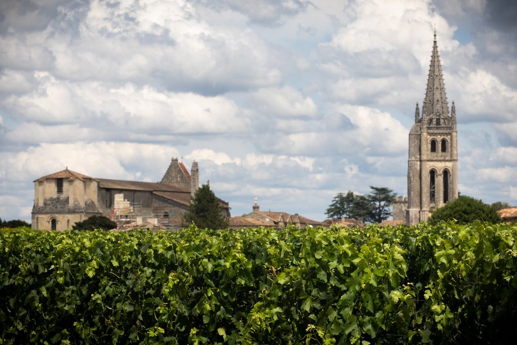 marche-decouverte-saint-emilion marches pour découvrir le vignoble de saint-emilion