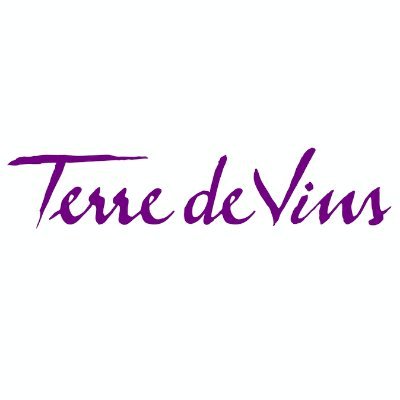 Terre de Vins organise les rando vignoble engagé à Saint-Emilion, patrimoine mondial de l'UNESCO