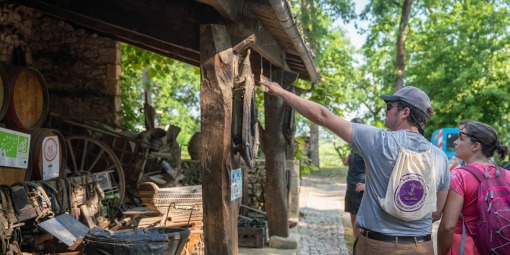 atelier biodiversite pendant la randonnée à saint-emilion