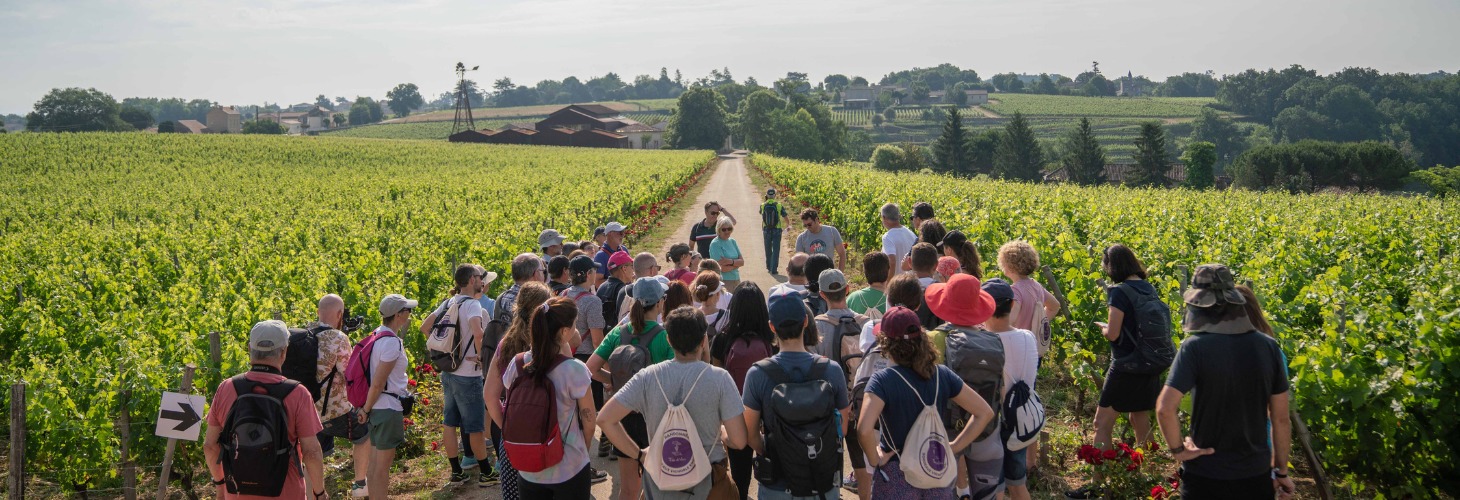 randonneurs dans le vignoble de saint emilion